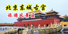 淫女破处中国北京-东城古宫旅游风景区